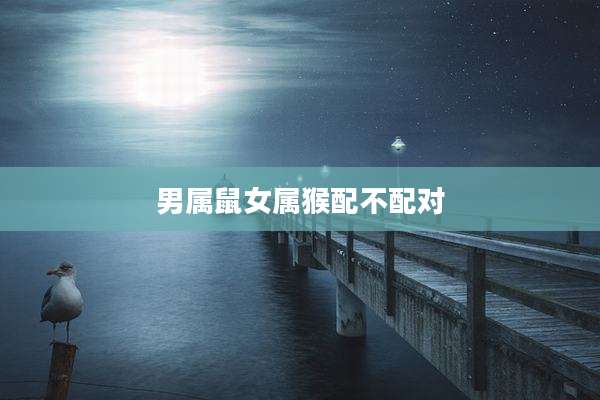 男属鼠女属猴配不配对