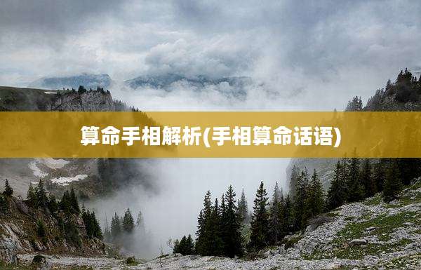 算命手相解析(手相算命话语)