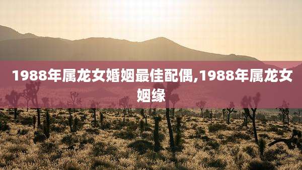 1988年属龙女婚姻最佳配偶,1988年属龙女姻缘