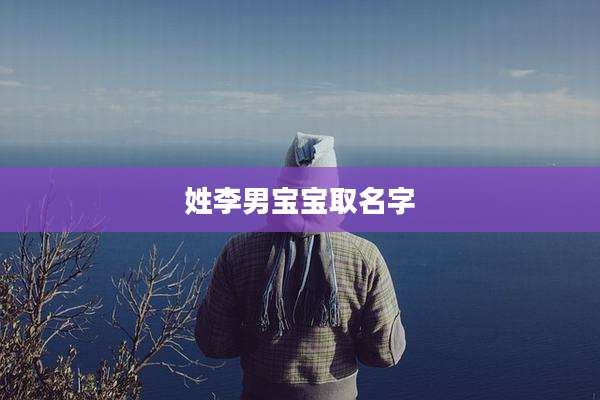 姓李男宝宝取名字