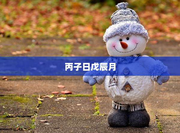 丙子日戊辰月
