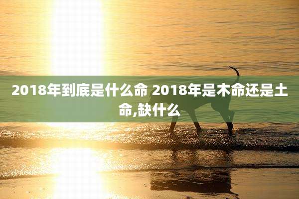 2018年到底是什么命 2018年是木命还是土命,缺什么