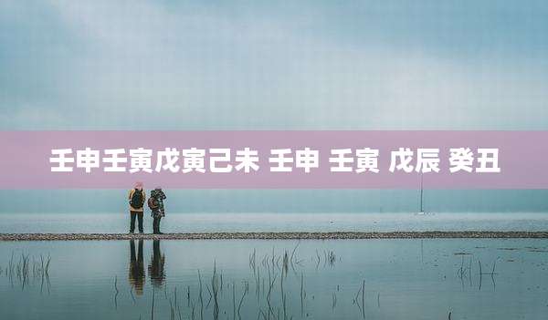 壬申壬寅戊寅己未 壬申 壬寅 戊辰 癸丑