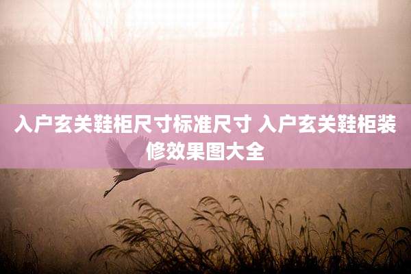 入户玄关鞋柜尺寸标准尺寸 入户玄关鞋柜装修效果图大全
