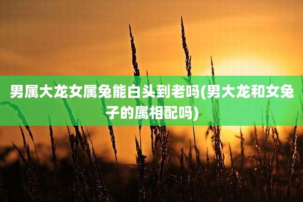 男属大龙女属兔能白头到老吗(男大龙和女兔子的属相配吗)