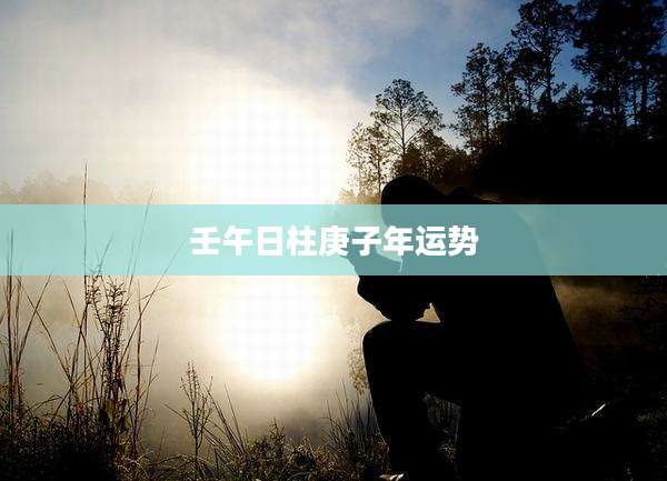 壬午日柱庚子年运势