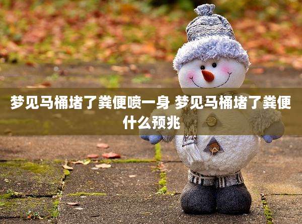 梦见马桶堵了粪便喷一身 梦见马桶堵了粪便什么预兆