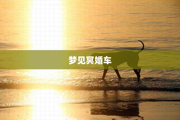 梦见冥婚车