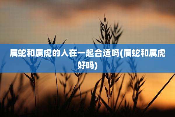 属蛇和属虎的人在一起合适吗(属蛇和属虎好吗)