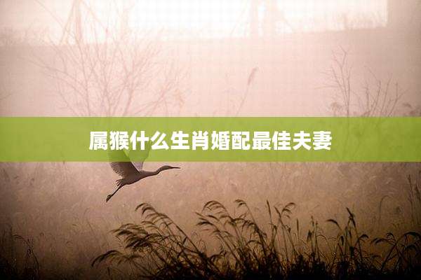属猴什么生肖婚配最佳夫妻