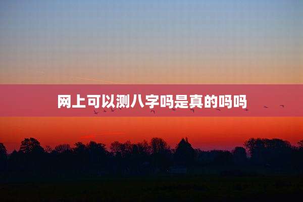 网上可以测八字吗是真的吗吗