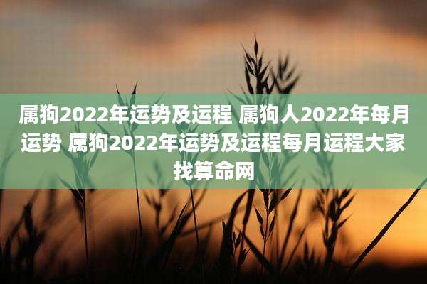 属狗2022年运势及运程 属狗人2022年每月运势 属狗2022年运势及运程每月运程大家找算命网