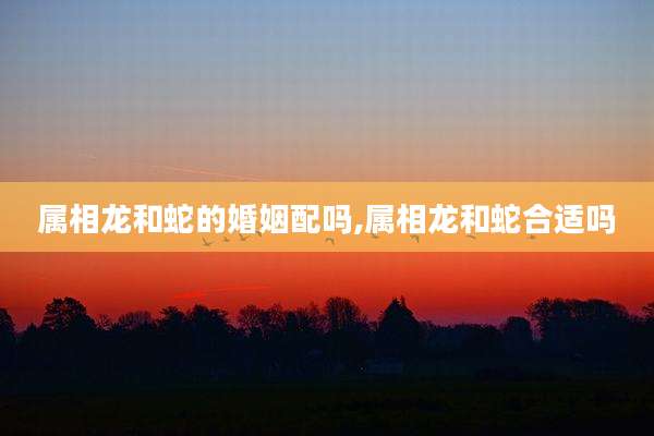 属相龙和蛇的婚姻配吗,属相龙和蛇合适吗
