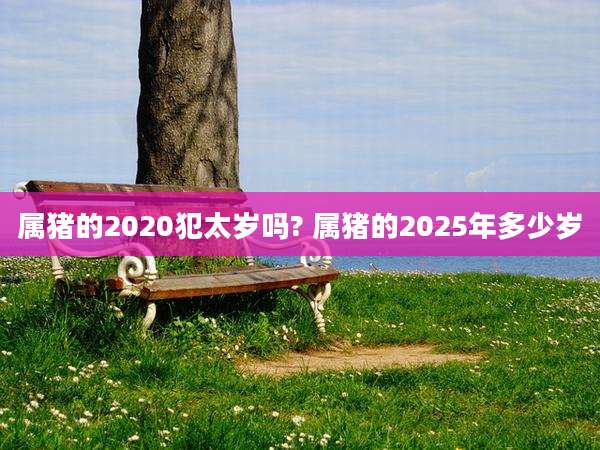 属猪的2020犯太岁吗? 属猪的2025年多少岁