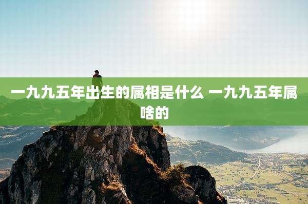 一九九五年出生的属相是什么 一九九五年属啥的