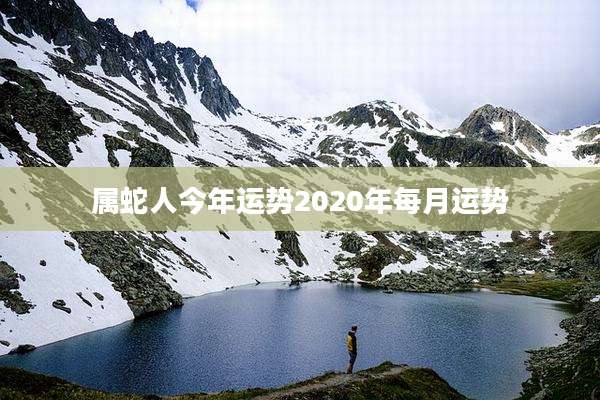 属蛇人今年运势2020年每月运势