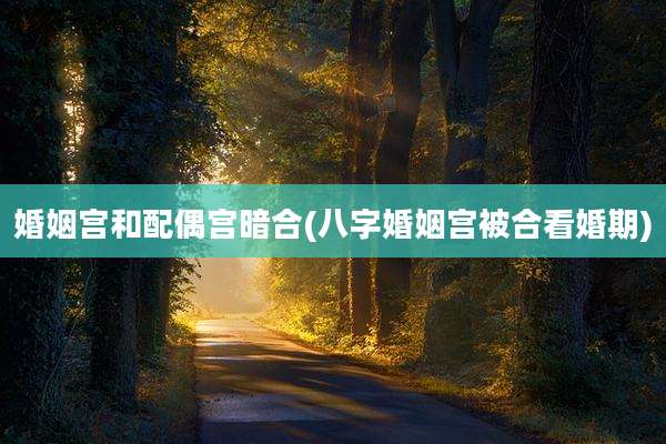 婚姻宫和配偶宫暗合(八字婚姻宫被合看婚期)