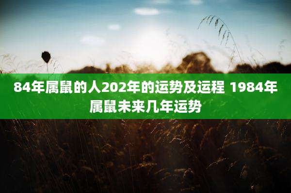 84年属鼠的人202年的运势及运程 1984年属鼠未来几年运势