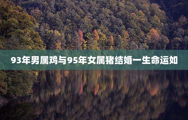 93年男属鸡与95年女属猪结婚一生命运如