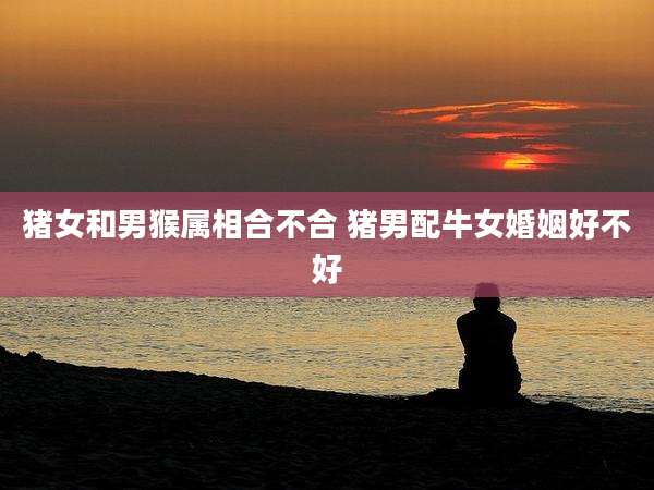 猪女和男猴属相合不合 猪男配牛女婚姻好不好