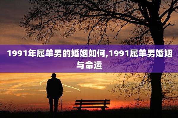 1991年属羊男的婚姻如何,1991属羊男婚姻与命运