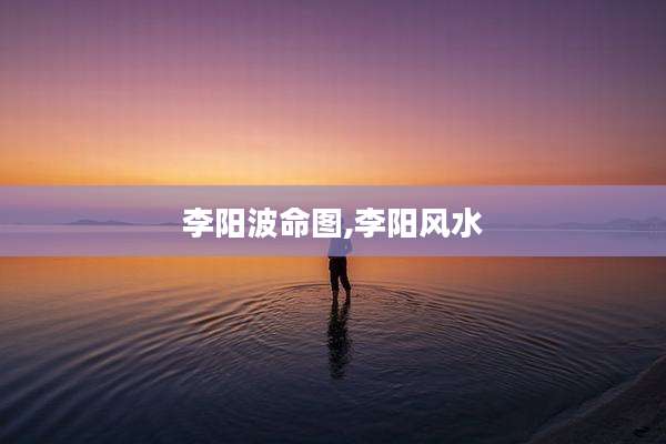 李阳波命图,李阳风水