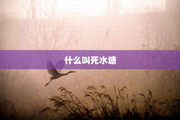 什么叫死水塘