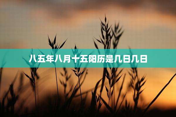 八五年八月十五阳历是几日几日