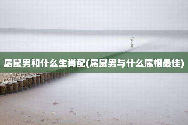 属鼠男和什么生肖配(属鼠男与什么属相最佳)