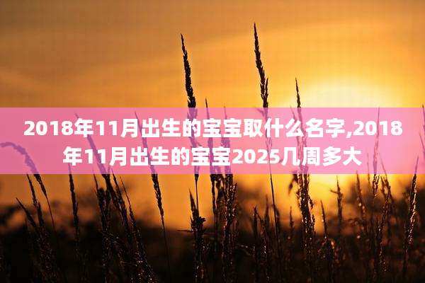 2018年11月出生的宝宝取什么名字,2018年11月出生的宝宝2025几周多大