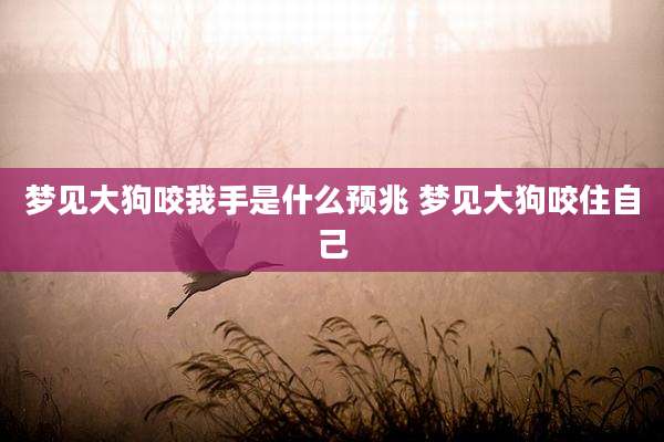 梦见大狗咬我手是什么预兆 梦见大狗咬住自己