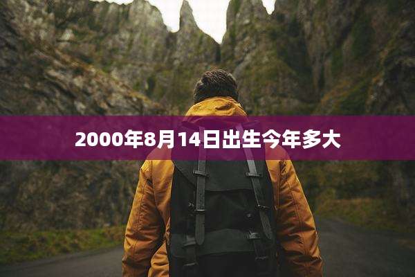 2000年8月14日出生今年多大