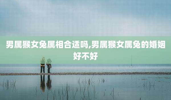 男属猴女兔属相合适吗,男属猴女属兔的婚姻好不好