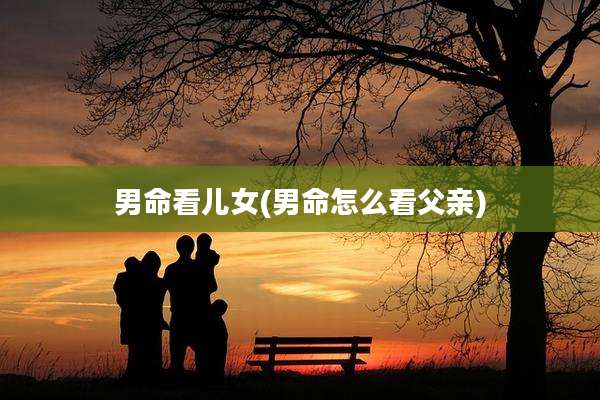 男命看儿女(男命怎么看父亲)