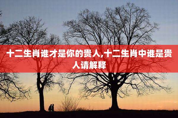 十二生肖谁才是你的贵人,十二生肖中谁是贵人请解释