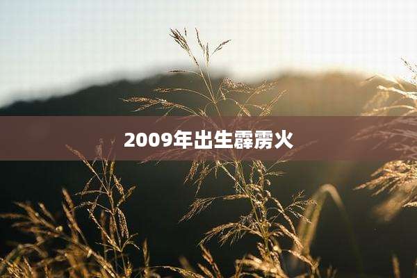 2009年出生霹雳火