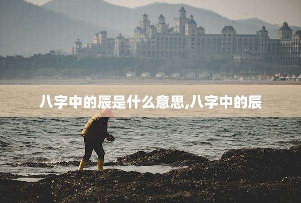 八字中的辰是什么意思,八字中的辰