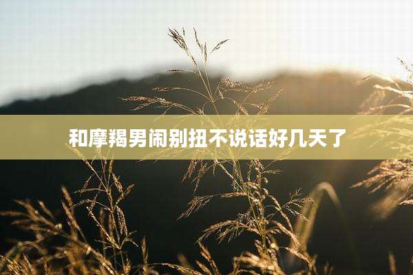 和摩羯男闹别扭不说话好几天了