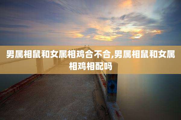 男属相鼠和女属相鸡合不合,男属相鼠和女属相鸡相配吗