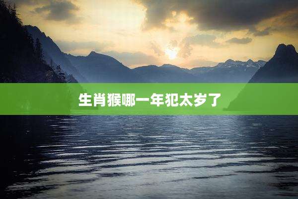 生肖猴哪一年犯太岁了