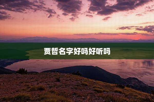 贾哲名字好吗好听吗