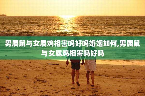 男属鼠与女属鸡相害吗好吗婚姻如何,男属鼠与女属鸡相害吗好吗