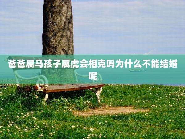 爸爸属马孩子属虎会相克吗为什么不能结婚呢