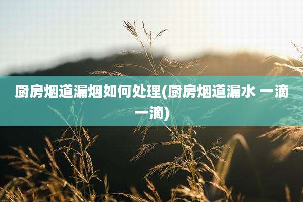 厨房烟道漏烟如何处理(厨房烟道漏水 一滴一滴)