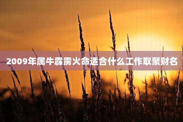 2009年属牛霹雳火命适合什么工作取聚财名