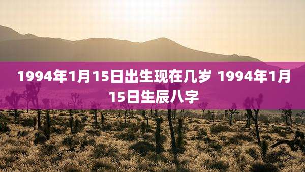 1994年1月15日出生现在几岁 1994年1月15日生辰八字