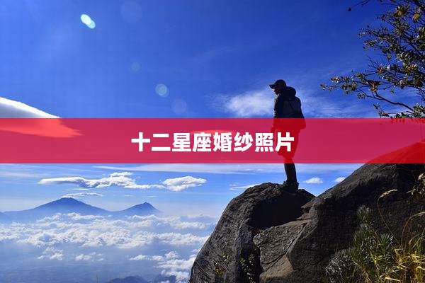 十二星座婚纱照片