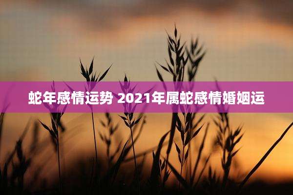 蛇年感情运势 2021年属蛇感情婚姻运