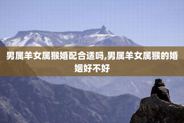 男属羊女属猴婚配合适吗,男属羊女属猴的婚姻好不好