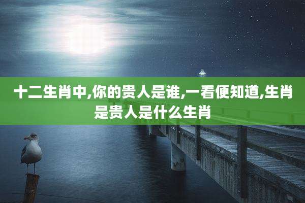 十二生肖中,你的贵人是谁,一看便知道,生肖是贵人是什么生肖